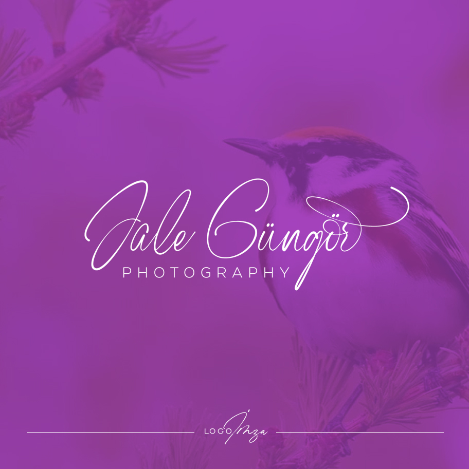 Jale Güngör Photography